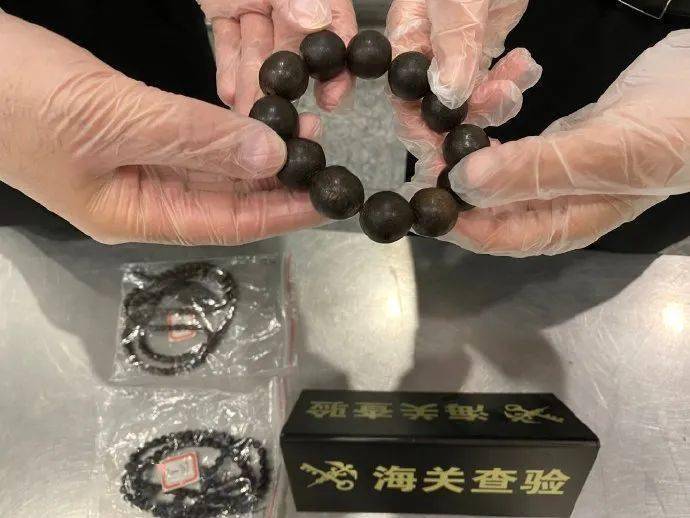 在国外,他捡了根虎骨,价值20万!回国,被判了5年!这10种&ldquo;文玩&rdquo;,绝对不能过海关!